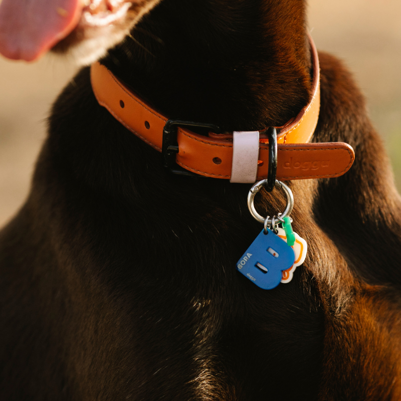 Accessoires